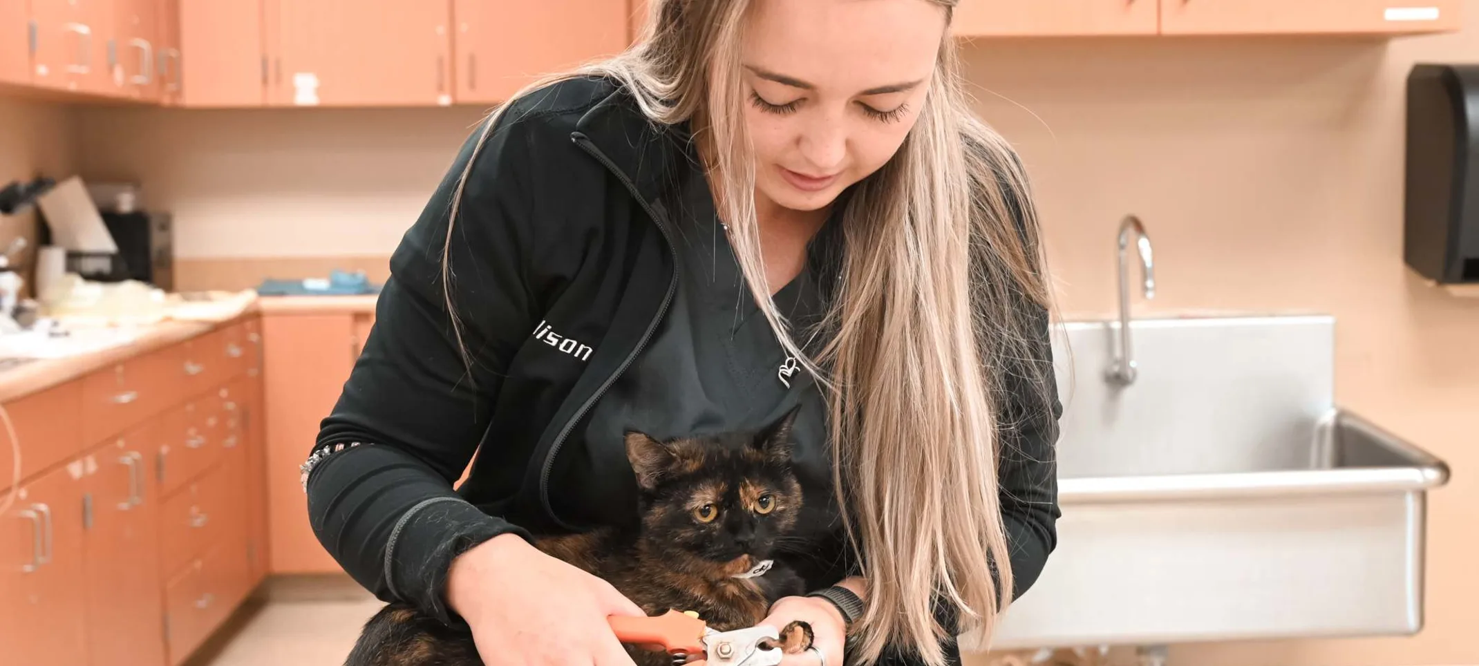 Groomer clipping a cat's claws.